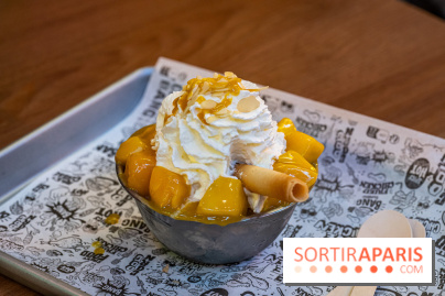 Chikin Bang, restaurant street food coréen à Paris-La Défense -  A7C1346