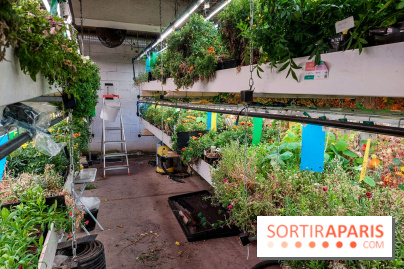 La Caverne, ferme urbaine bio à Paris, nos photos - 20240122 145108