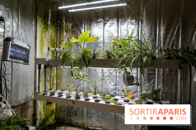 La Caverne, ferme urbaine bio à Paris, nos photos - IMG 2208