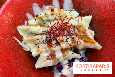 Gyoza Bar - Gyozas porc