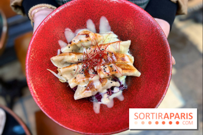 Gyoza Bar - Gyozas porc