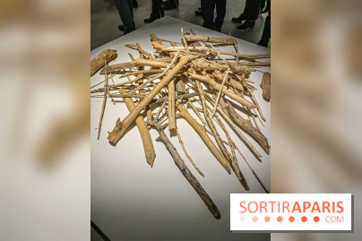 Suzanne Husky au Drawing Lab - IMG 4189