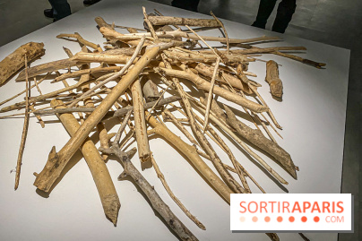 Suzanne Husky au Drawing Lab - IMG 4190