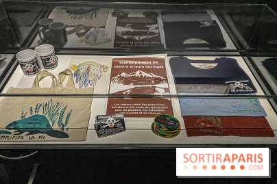 Suzanne Husky au Drawing Lab - IMG 4197