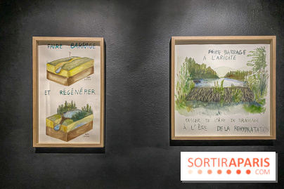 Suzanne Husky au Drawing Lab - IMG 4198