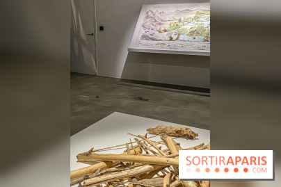 Suzanne Husky au Drawing Lab - IMG 4204