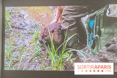 Suzanne Husky au Drawing Lab - IMG 4206