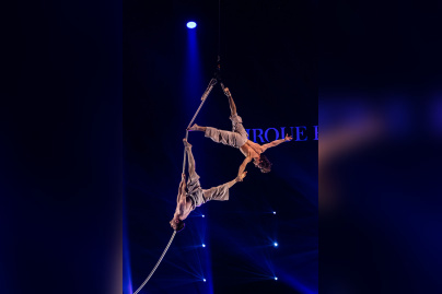 Festival Mondial du Cirque de Demain 2024, les photos