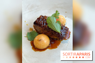 Vaisseau d'Adrien Cachot - Cochon de lait