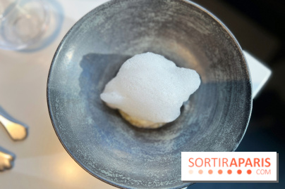 Vaisseau d'Adrien Cachot - Cabillaud