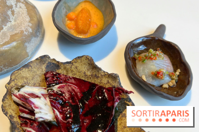 Vaisseau d'Adrien Cachot - Patate douce