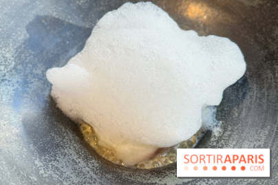 Vaisseau d'Adrien Cachot - Cabillaud