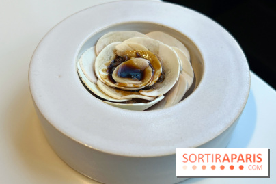 Vaisseau d'Adrien Cachot - Champignons