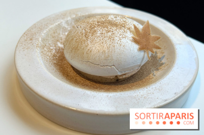 Vaisseau d'Adrien Cachot - Mont Blanc champignons