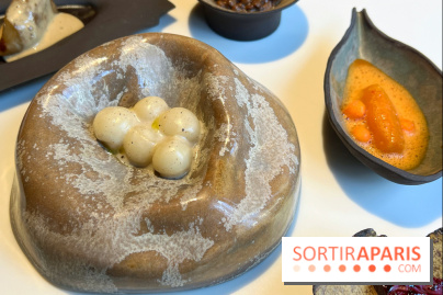 Vaisseau d'Adrien Cachot - Mochi