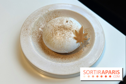 Vaisseau d'Adrien Cachot - Mont Blanc champignons