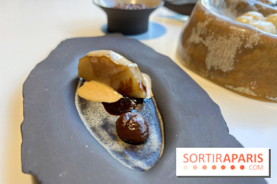 Vaisseau d'Adrien Cachot - Topinambour