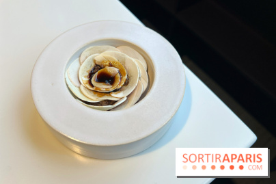 Vaisseau d'Adrien Cachot - Champignons