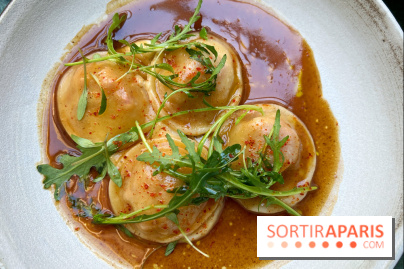 Halo de Victor Blanchet - Ravioles de txistorra