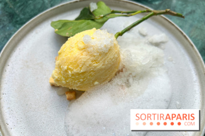 Halo de Victor Blanchet - Citron réaliste