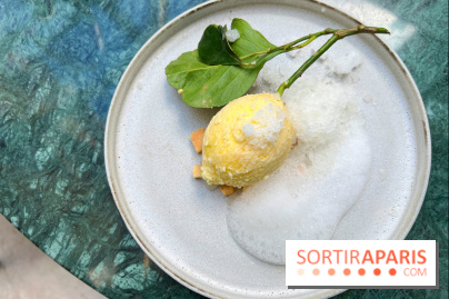 Halo de Victor Blanchet - Citron réaliste