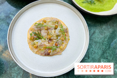 Halo de Victor Blanchet - Carpaccio de mulet