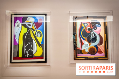 Dans l'appartement de Léonce Rosenberg : découvrez l'univers du marchand d'art au musée Picasso - IMG20240129173857