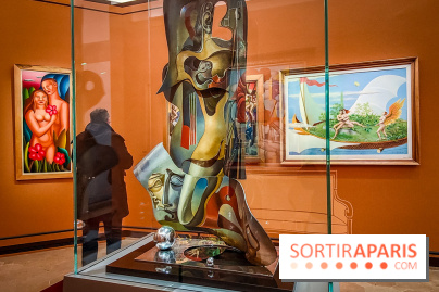 Dans l'appartement de Léonce Rosenberg : découvrez l'univers du marchand d'art au musée Picasso - IMG20240129174550