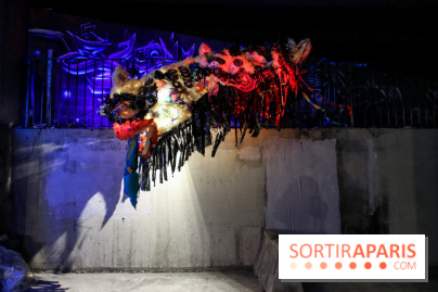 Les Extatiques dans les souterrains de Paris La Défense, nos photos - IMG 2278