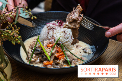 Les Chouettes restaurant  -  blanquette de veau