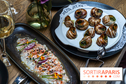 Les Chouettes restaurant  -  A7C3286