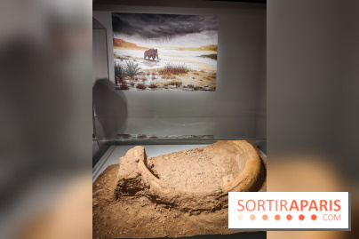 Dans la Seine : une expo de la Crypte archéologique dévoile les objets retrouvés dans la Seine  - IMG20240130094823