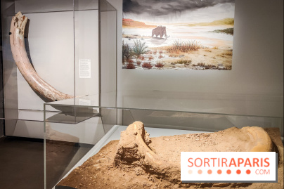 Dans la Seine : une expo de la Crypte archéologique dévoile les objets retrouvés dans la Seine  - IMG20240130101744