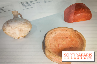 Dans la Seine : une expo de la Crypte archéologique dévoile les objets retrouvés dans la Seine  - IMG20240130095322