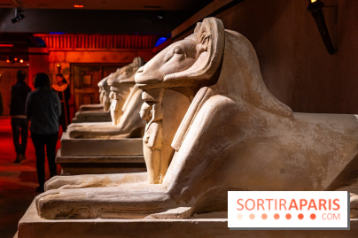 Toutankhamon, l'expérience immersive Pharaonique - les photos -  A7C4229