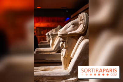 Toutankhamon, l'expérience immersive Pharaonique - les photos -  A7C4230