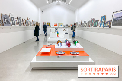 Exposition Perrotin Editions : Tous Collectionneurs ! à la galerie Perrotin - IMG 4265