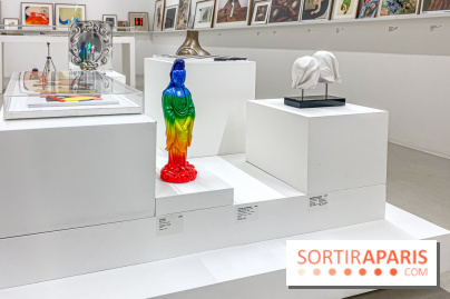 Exposition Perrotin Editions : Tous Collectionneurs ! à la galerie Perrotin - IMG 4269