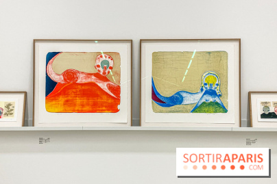 Exposition Perrotin Editions : Tous Collectionneurs ! à la galerie Perrotin - IMG 4279