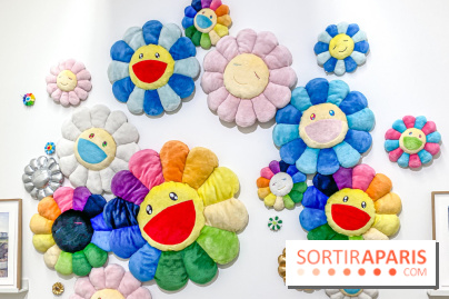 Exposition Perrotin Editions : Tous Collectionneurs ! à la galerie Perrotin - IMG 4289