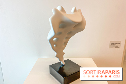 Exposition Perrotin Editions : Tous Collectionneurs ! à la galerie Perrotin - IMG 4319