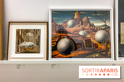 Exposition Perrotin Editions : Tous Collectionneurs ! à la galerie Perrotin - IMG 4331