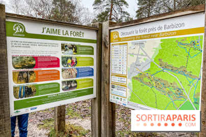 Le sentier de l'érosion à Fontainebleau - balade en forêt - IMG 6595