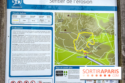 Le sentier de l'érosion à Fontainebleau - balade en forêt