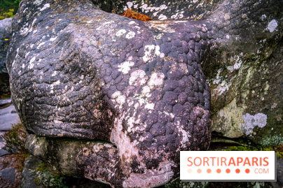 Le sentier de l'érosion à Fontainebleau - balade en forêt -  A7C4645
