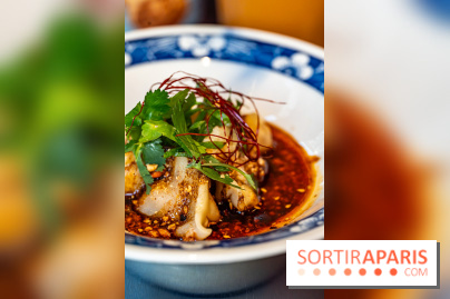 Nouilles Ban Ban restaurant  -  raviolis