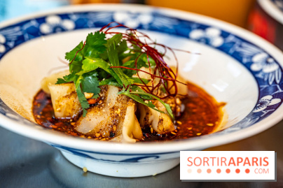 Nouilles Ban Ban restaurant  -  raviolis