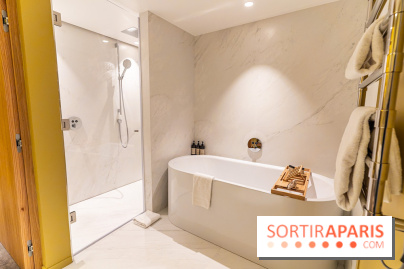 Domaine de la Reine Margot - Hôtel - Restaurant - Bar à Issy les Moulineaux -  A7C3443