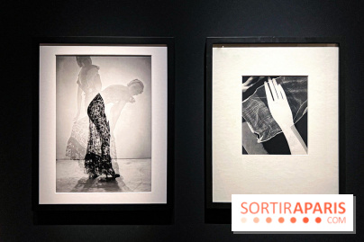 Transparences, la nouvelle exposition mode du Musée Yves Saint Laurent - image00021