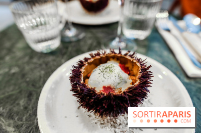 Calice à Paris, nos photos - IMG 2460